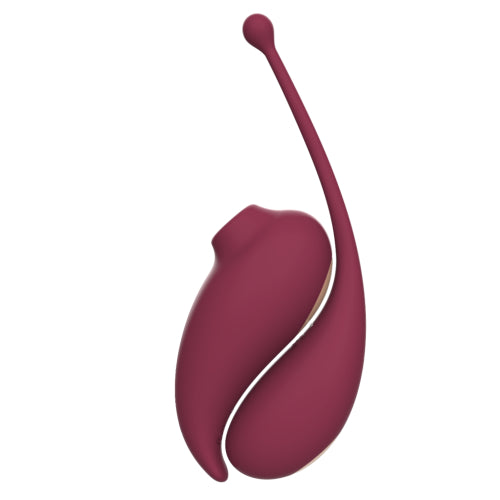 Inspiration Clitoral Suction Stimulator & Vibrating Egg – Dual Pleasure System with App Control